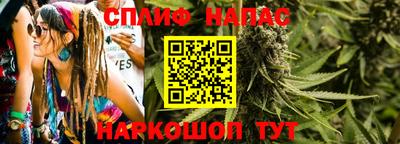 стаф Донской