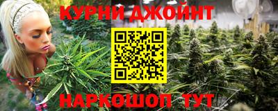 стаф Донской