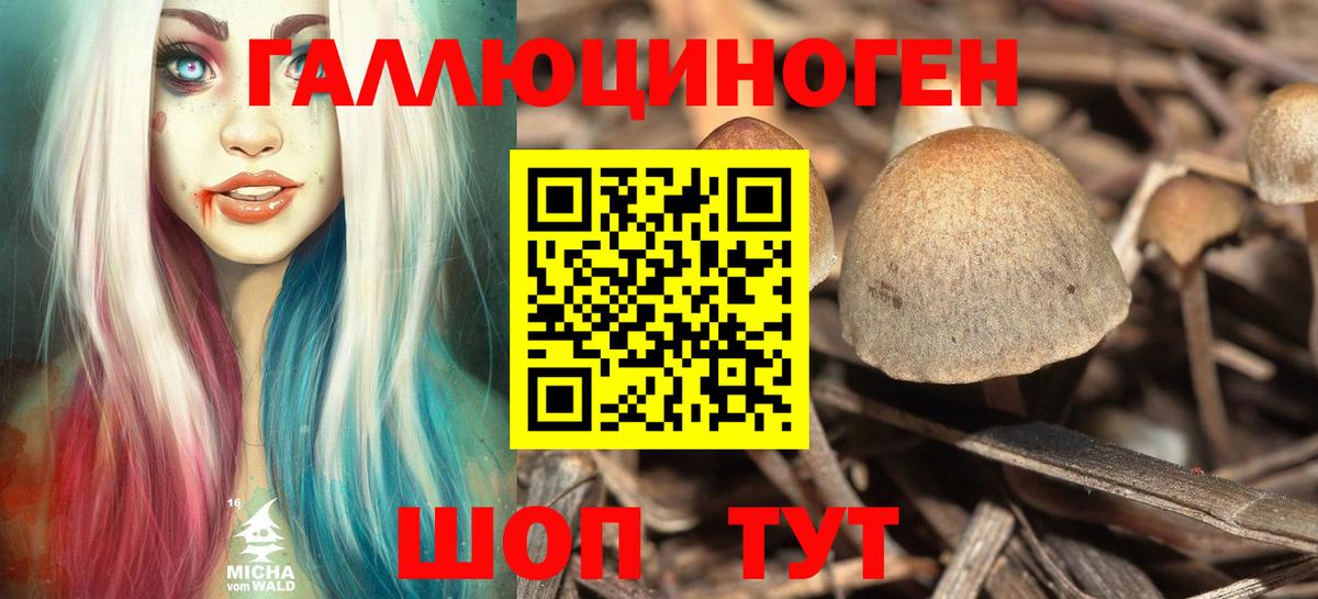 Псилоцибиновые грибы прущие грибы  Галлюциногенные грибы Magic Shrooms  Медногорск  Вход с VPN 